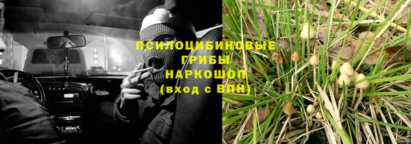 СК Абаза
