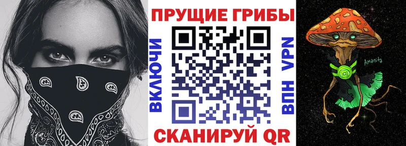 это телеграм  Майский  MEGA зеркало  Псилоцибиновые грибы Psilocybe  купить наркотики сайты 